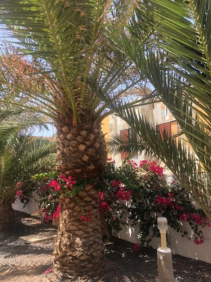 Apartamento Sunny Complex Amaya Fuerteventura Costa De Antigua