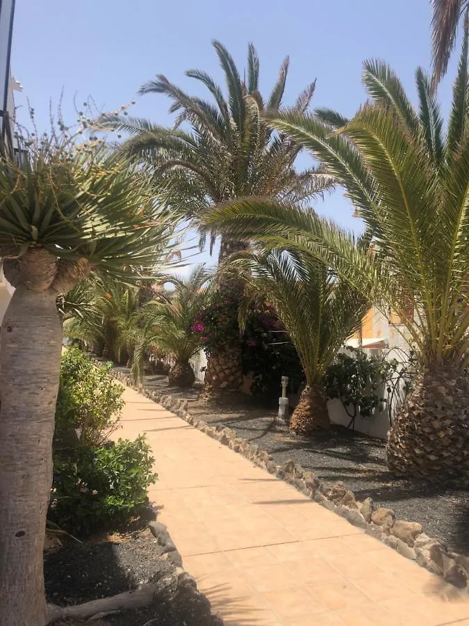 Appartement Apartamento Sunny Complex Amaya Fuerteventura Costa De Antigua Espagne